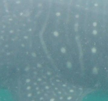 e801a453-6166-4059-b0d1-c34d3bab26a0