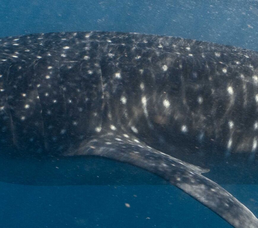 2d3dc21f-02e3-4ace-97c8-b5544e011d0c