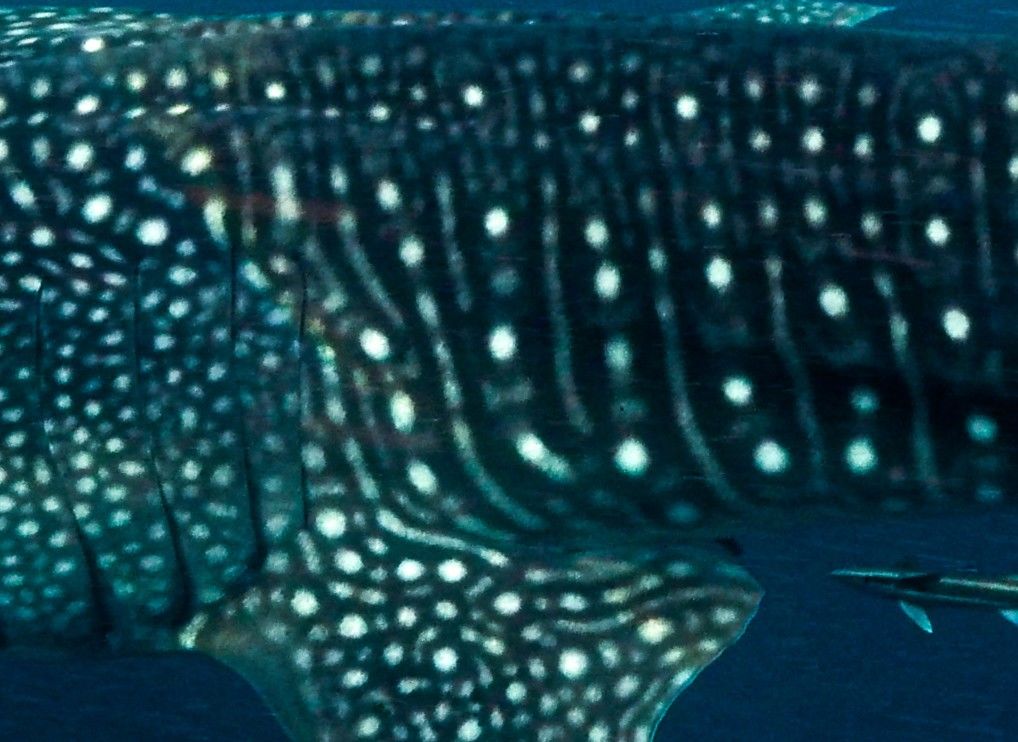 6a1d58f7-1239-4289-8d17-4c2e90f185d7