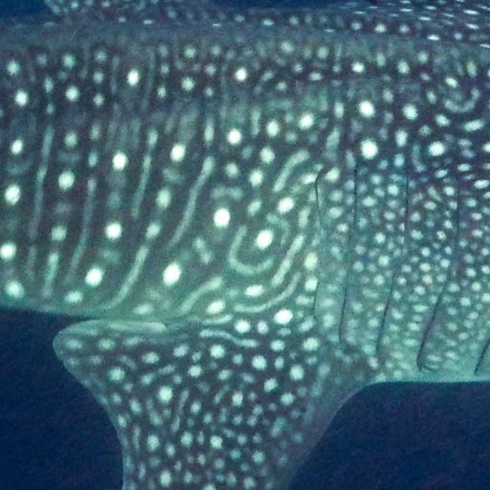 6a1d58f7-1239-4289-8d17-4c2e90f185d7