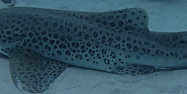 319f0e16-430b-46de-b8dd-db2b02ddfa21