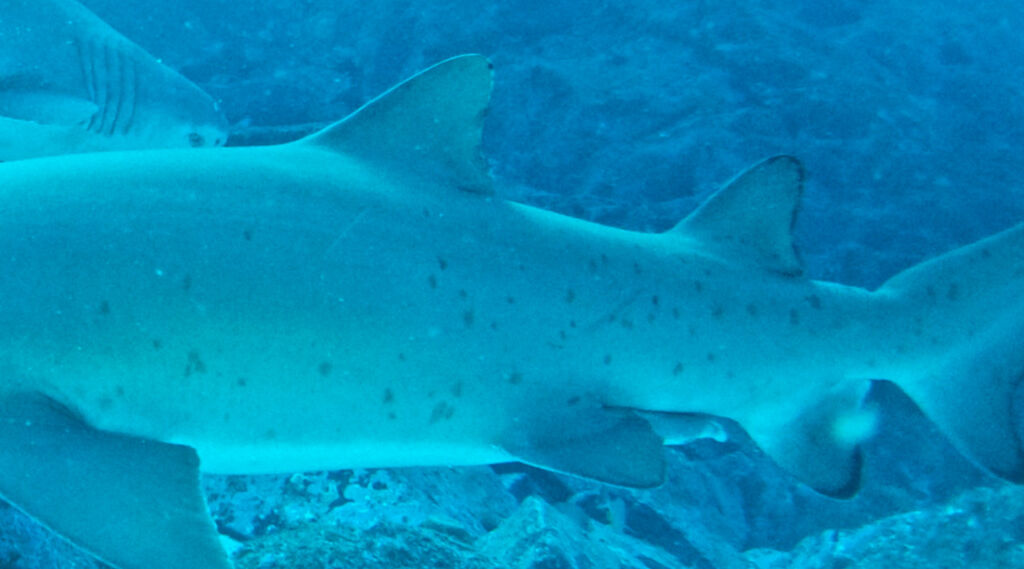 f214f6b5-88c6-4d88-8168-c9c9b857a6c4