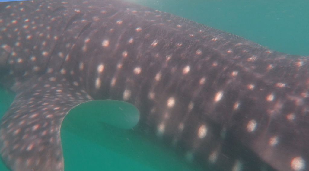 5d572340-7f69-49fb-bc4f-eb66ccf7da5f