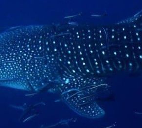 5121df3f-a0ba-4a0b-a48d-71e38f082e77