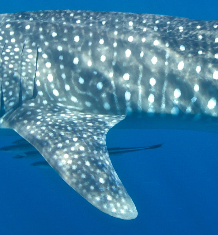 05b805ca-2e30-49cb-8911-825afafbac9b