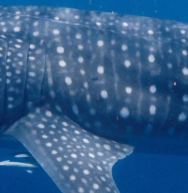 2cff0b47-20e3-4275-82fd-56dd2fee5efc