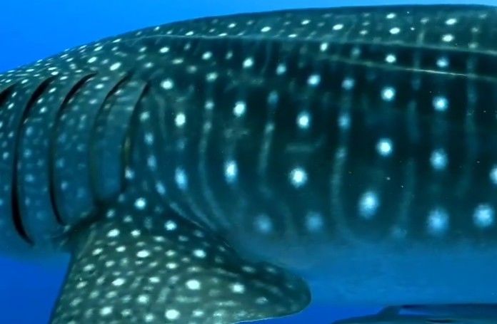 37111f88-2803-46cf-9798-e523f10be6be