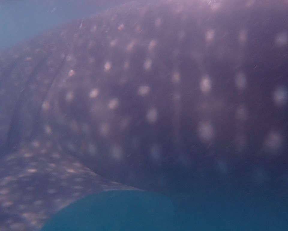 40c86d4a-531a-4b50-a6b8-674fafc340f1