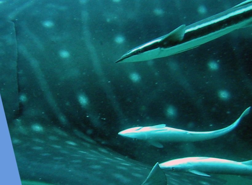 b186b4a7-2a86-4a5c-abe5-b7314bf0989c