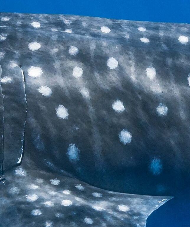 68af1456-2456-473d-a4d4-832dab68f2b2