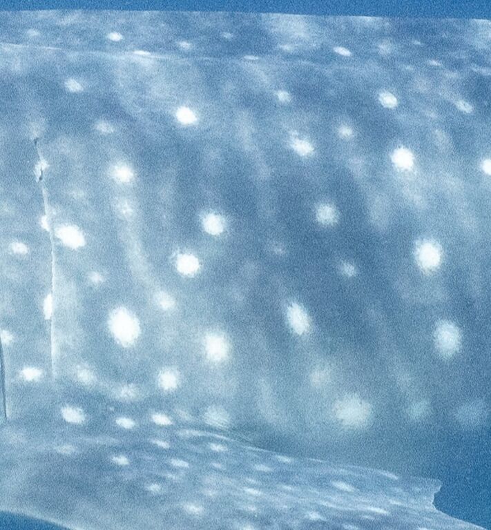 5887af18-6d34-449d-b540-811fc36586b9