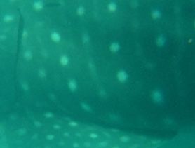 731bb969-1a7d-4815-a7ee-6d2cbf1f601a