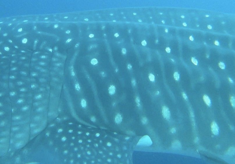 41c548f0-2239-4fb5-8bc5-7a42540fba5b