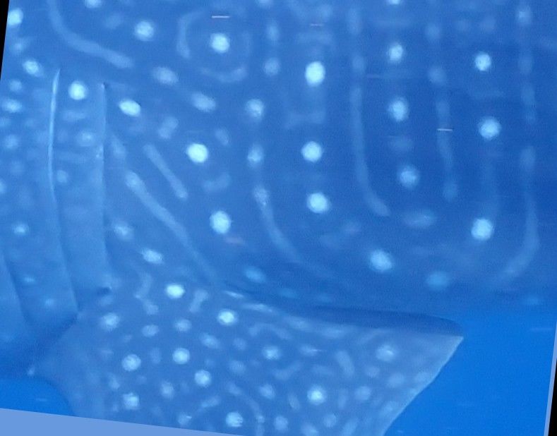 290f69f6-9d92-450f-86ea-6e6f99f60833