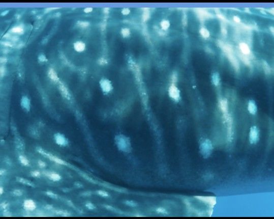 dbd0f1cd-e412-4605-9ad9-d4bcf4616e45