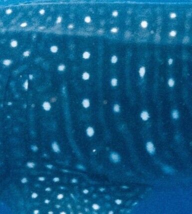 5c64125a-be46-4af2-94ae-cae7b677669d