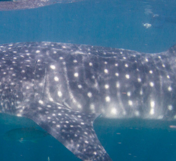 4c8d01e7-0448-4cd5-8bce-133f4ed1108a