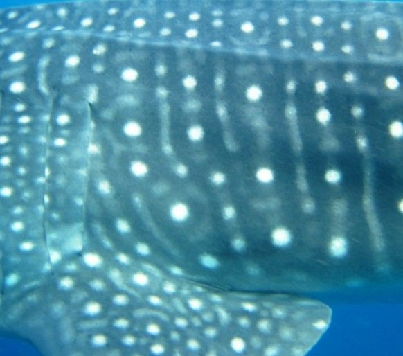 e4d41478-a058-47aa-a900-b3e7bee789fc