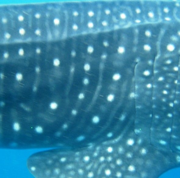 e4d41478-a058-47aa-a900-b3e7bee789fc