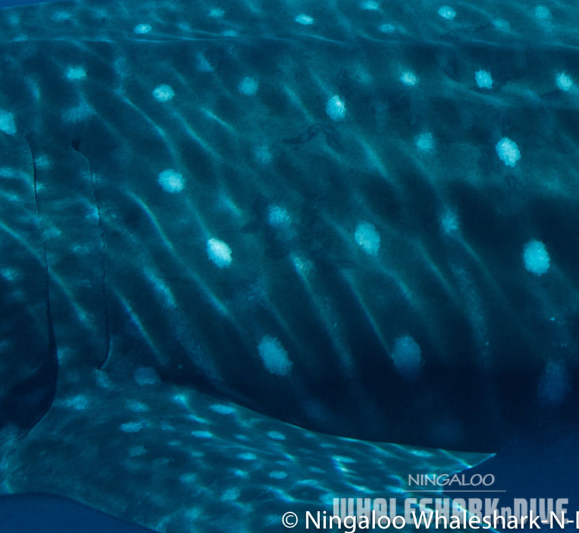 9daddff9-ae70-42d6-9dfa-dd2610761dc3