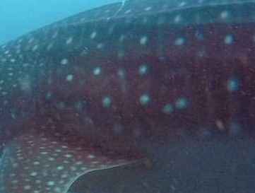 0db8c686-b9b8-4af5-850d-dc05c3fac1ff