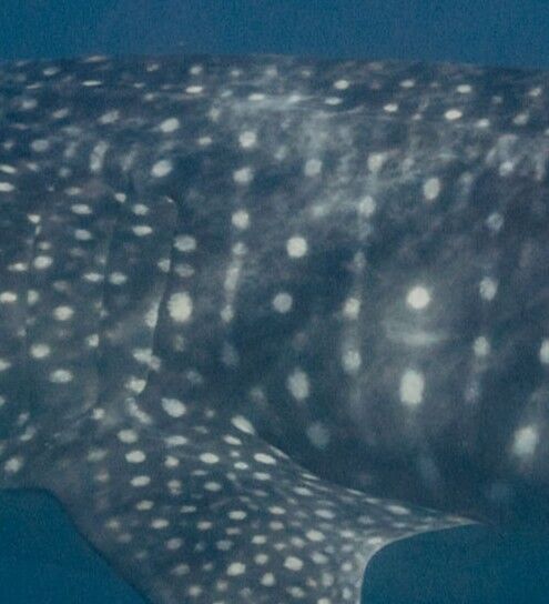 5ea467d6-1189-4b20-bb62-5b6354cb68bf