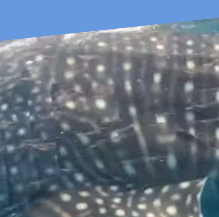 6f1d2a5f-3b88-48b5-9fed-6ae9ef30275c