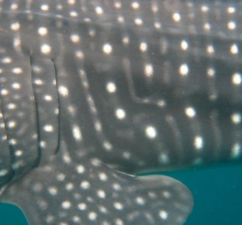 28250ead-c948-465e-a68e-2dcd61cb39cf