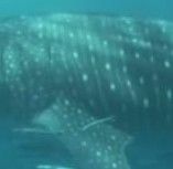 542a793e-722b-4ca1-a519-b993ac950e85