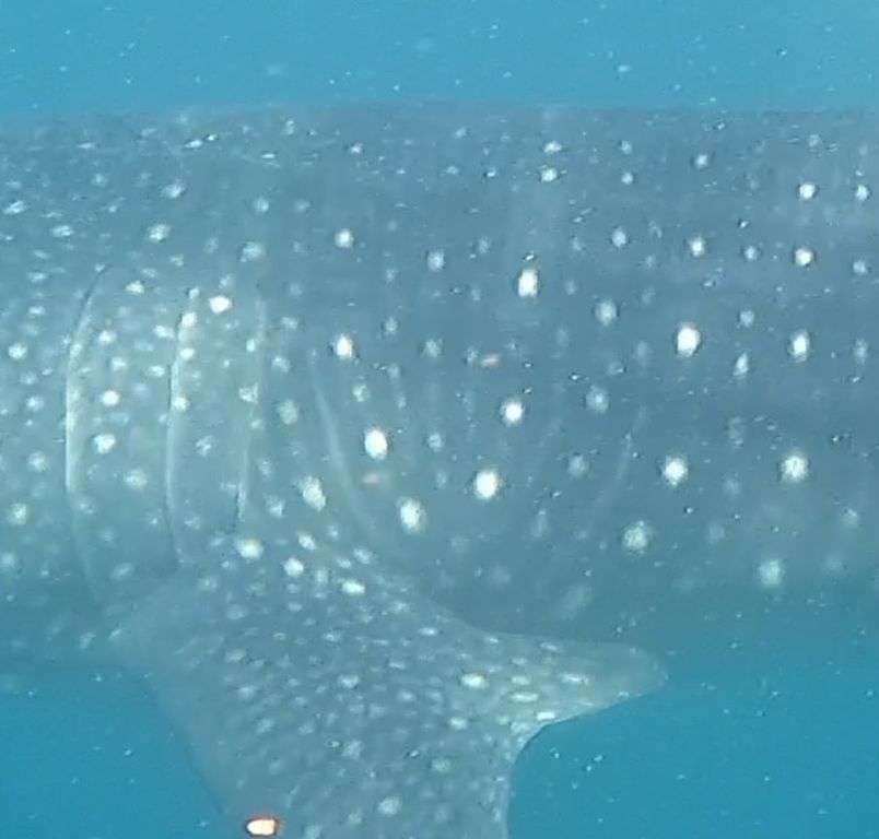 43b123db-7010-4836-97db-568959032714