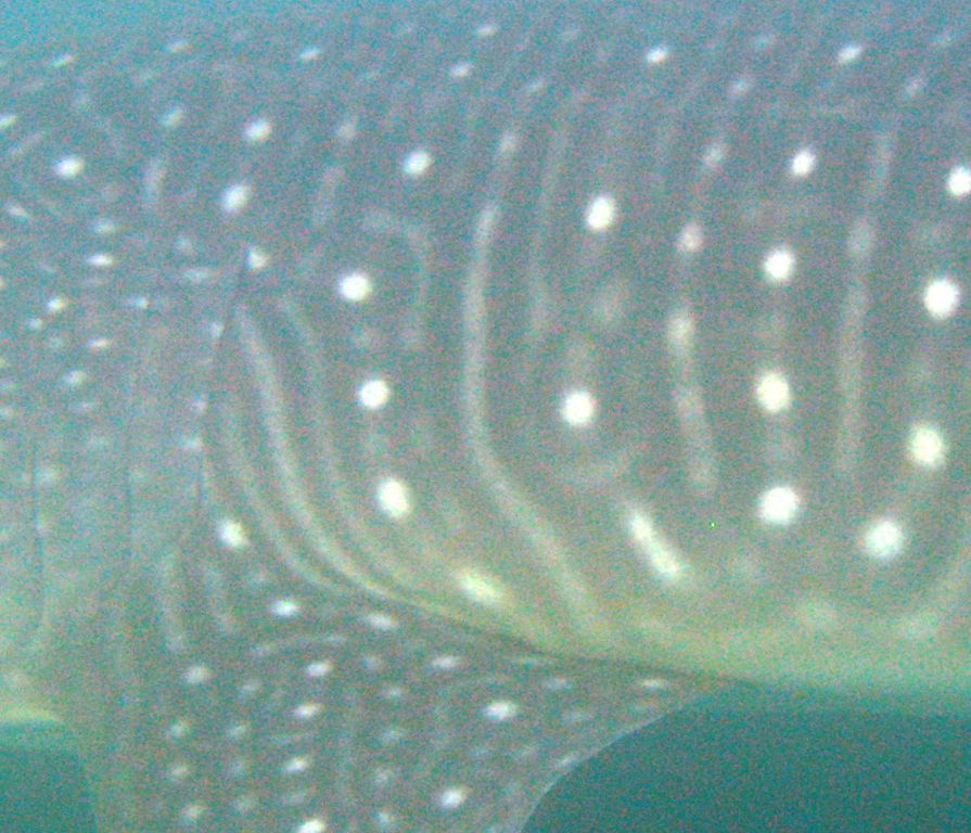 673d2b97-9778-4989-9f44-ca51220a1c58