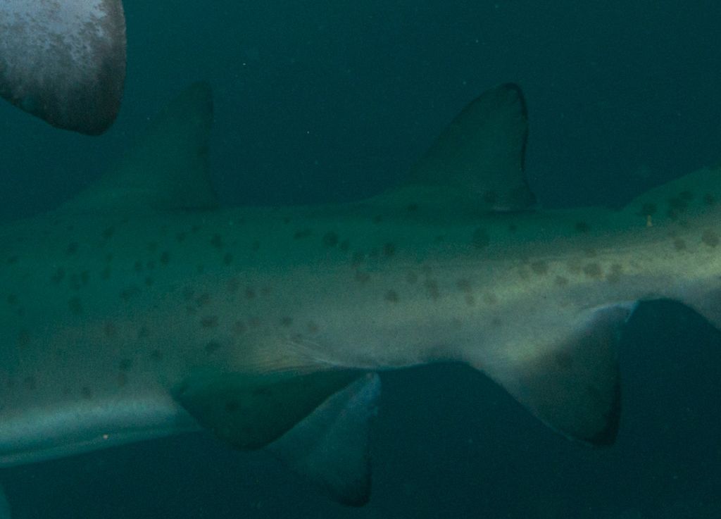 84d59756-0418-47a1-904c-f681687afaee