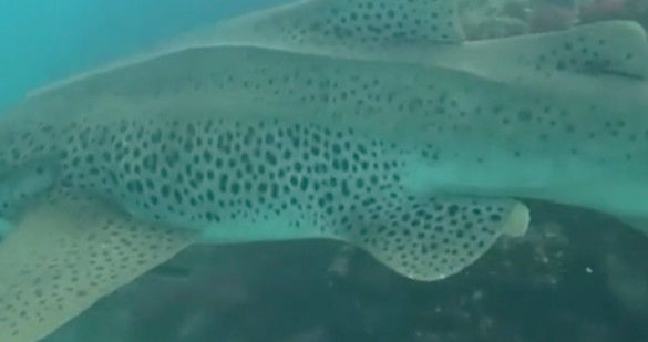 1d4ba718-9366-4672-a48a-337b716a47ca