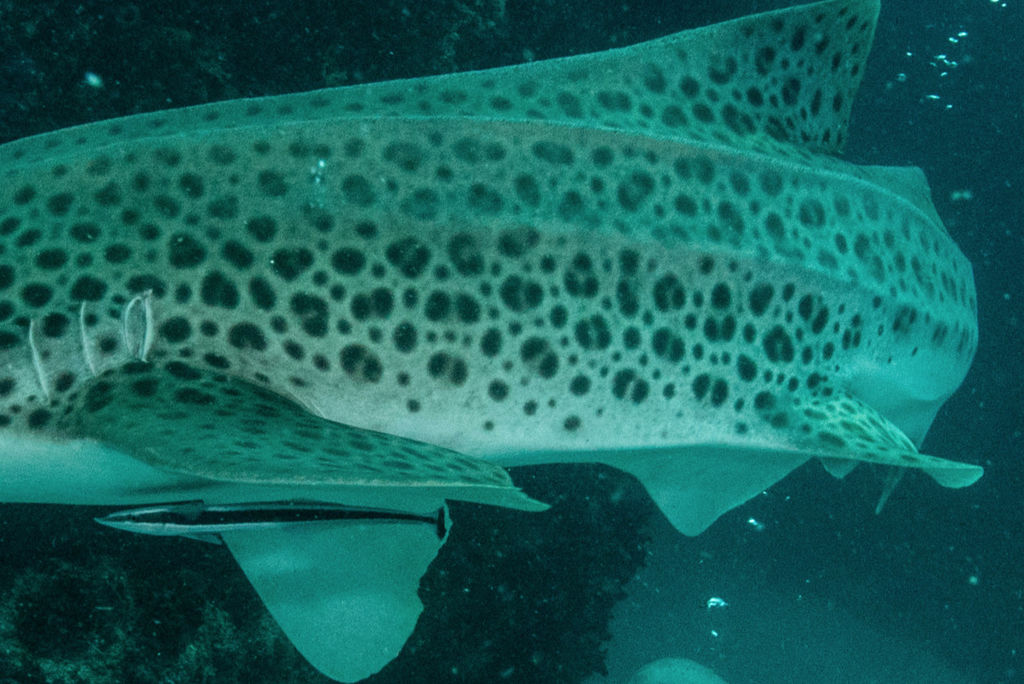 e12aed02-1711-4bfb-b417-01beac8059f6