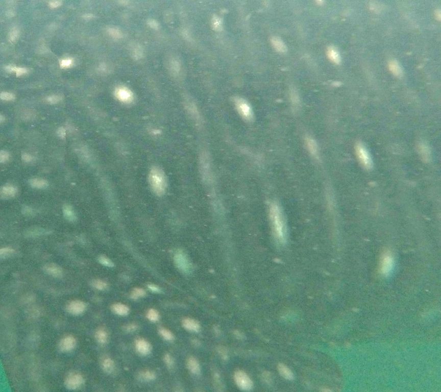 c834ea59-47d7-46a5-9f14-1bd12eb869f1