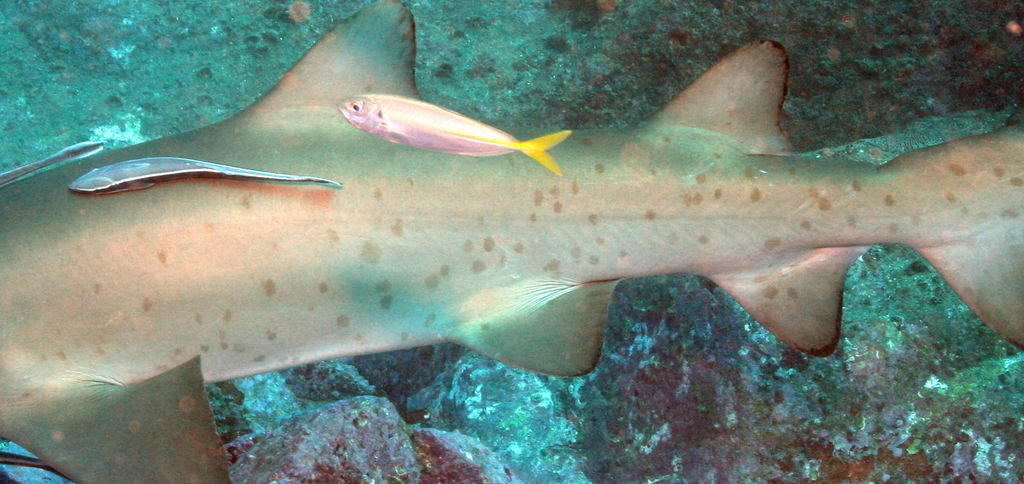 db78e344-f1fa-4e1f-a8c0-9ff21c7044a0