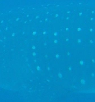 9f50db44-edee-46c1-9536-2690bc9b4216