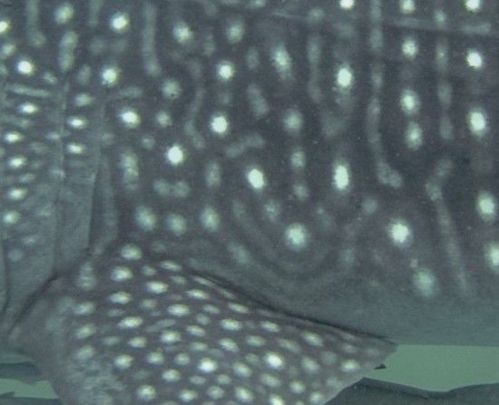 5ca85910-094c-41a7-81ef-03643ebe4ac3