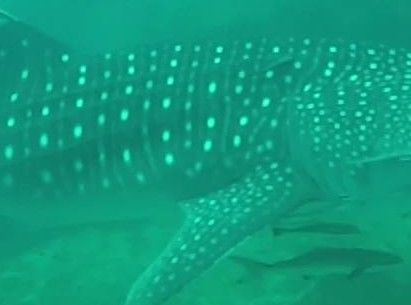 5ca85910-094c-41a7-81ef-03643ebe4ac3