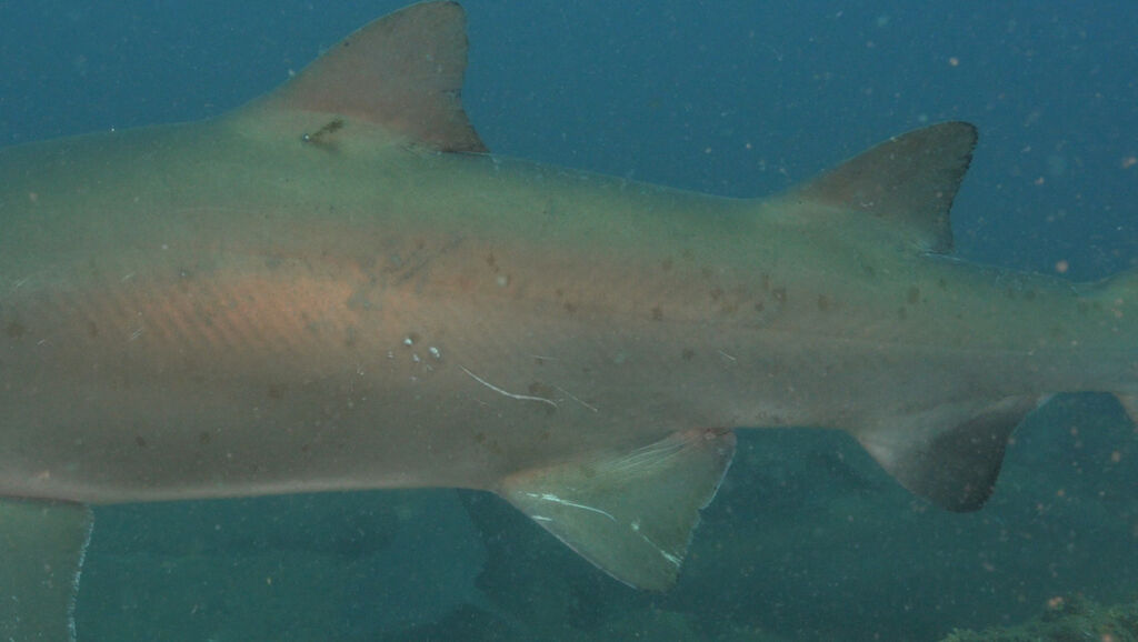 5cc6f5ef-5413-4e97-b4cf-6f9797fab1b7