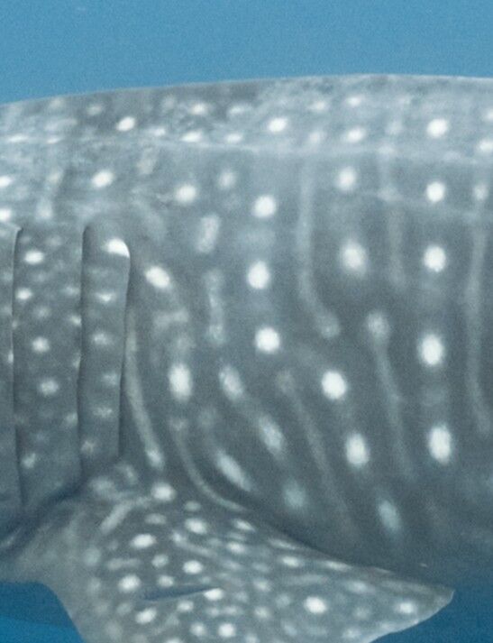 24adb028-bd17-4c48-99e0-aa82888af69b