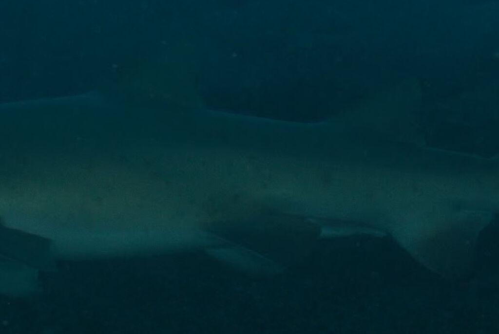 945cb0ce-8b22-498f-8ae8-9dae6002d2d4