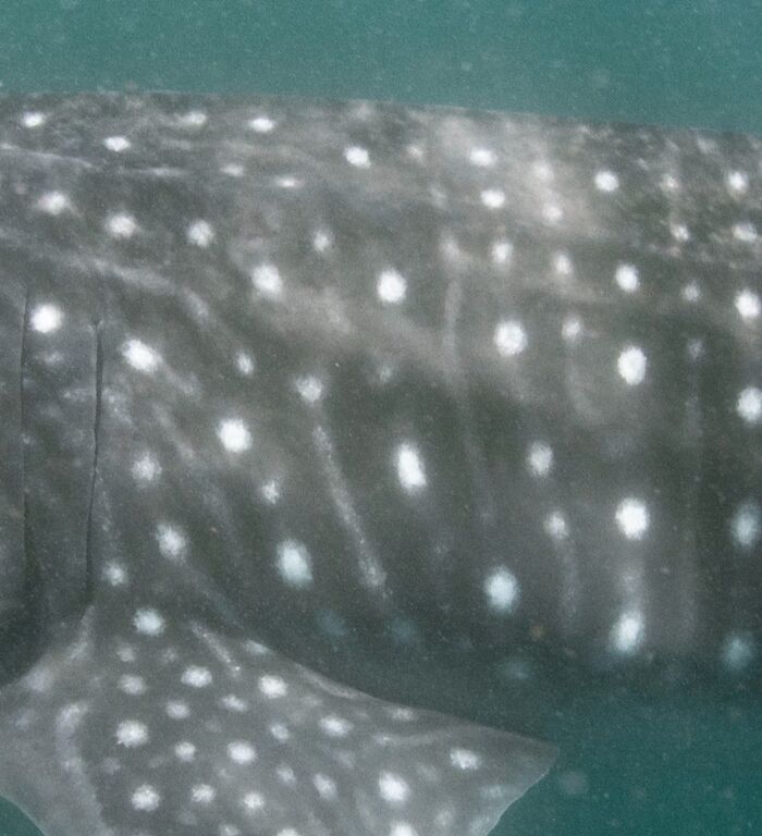 af7acf6e-e25e-421d-80b4-0fee82502a39