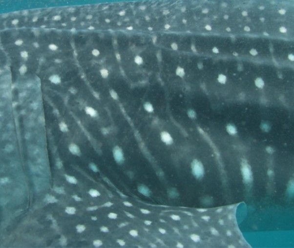 16f11bb7-b8f6-4f63-bd81-6f1f65d80e6c