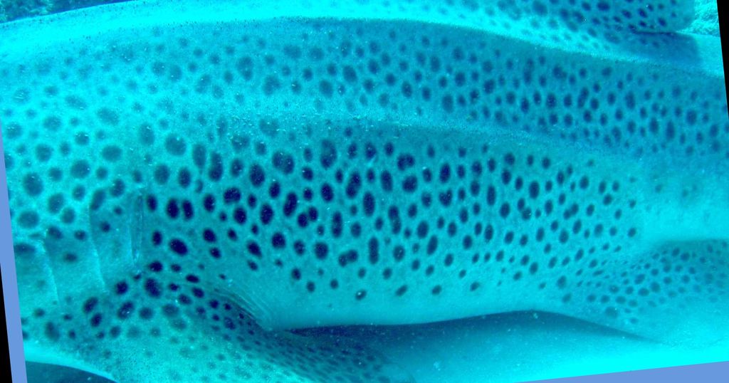 3963fa4e-a33f-43da-8710-25c939eb5320