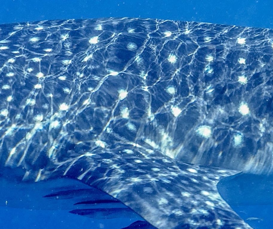 f58d86c7-9f77-4e2d-aa3c-8b5557fdb775