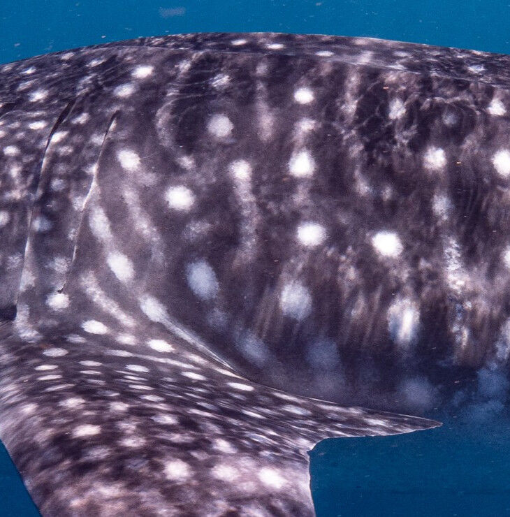 9ccedf89-67a2-48b3-b147-a8629116869b