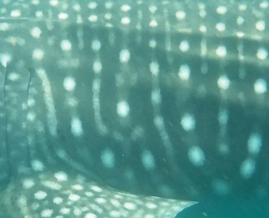 3747b1f0-627e-409c-b2d4-b4e386e658bd