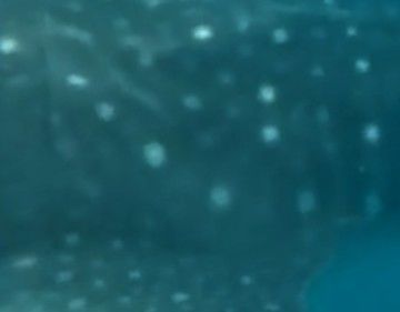 a2503257-78c7-4ded-90a0-53e6b5551439