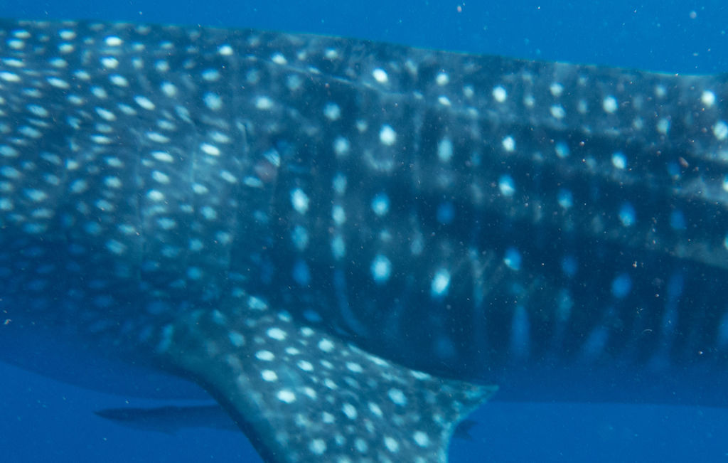 6bb32d94-255d-4ac9-af3e-84d88e031984